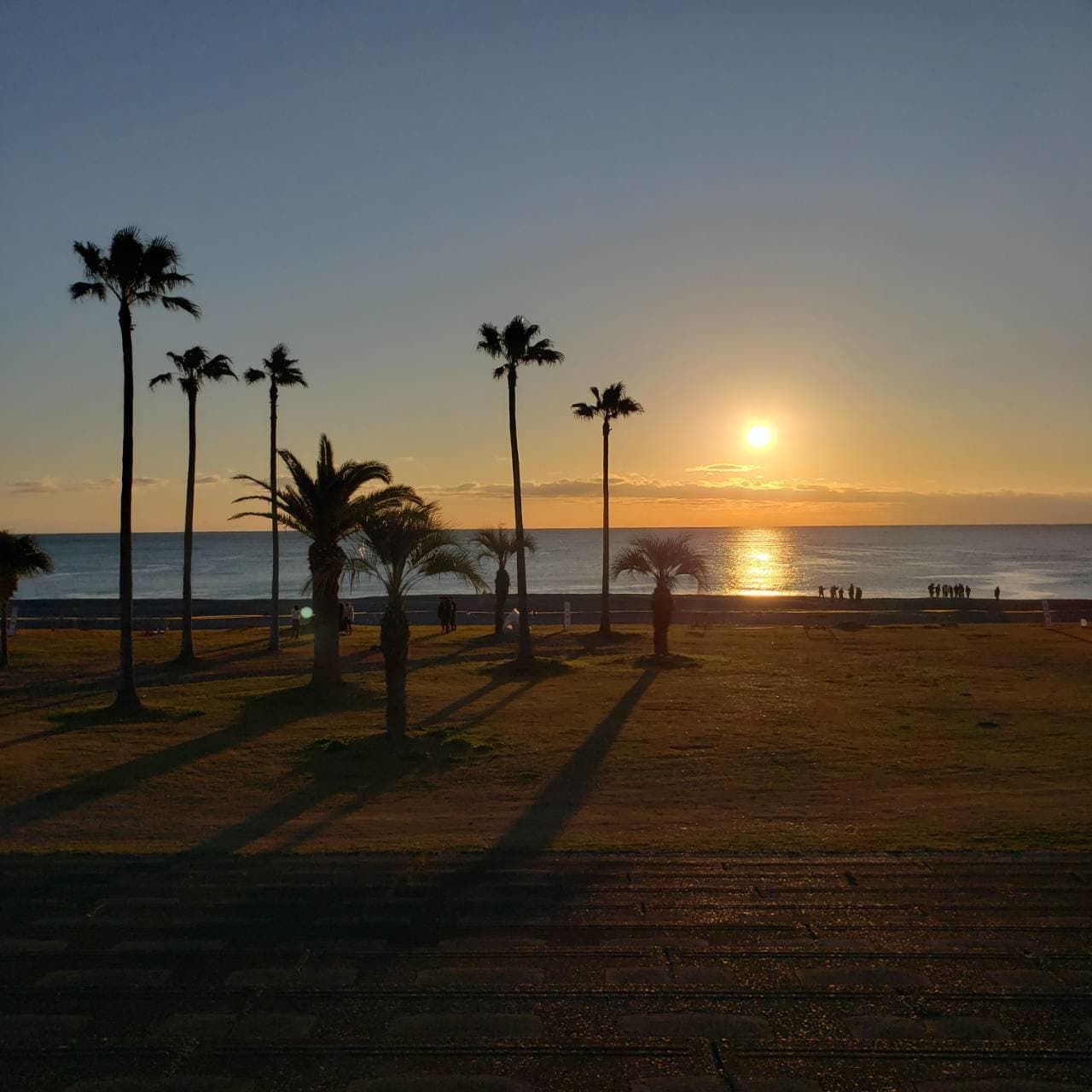 113010.jpg